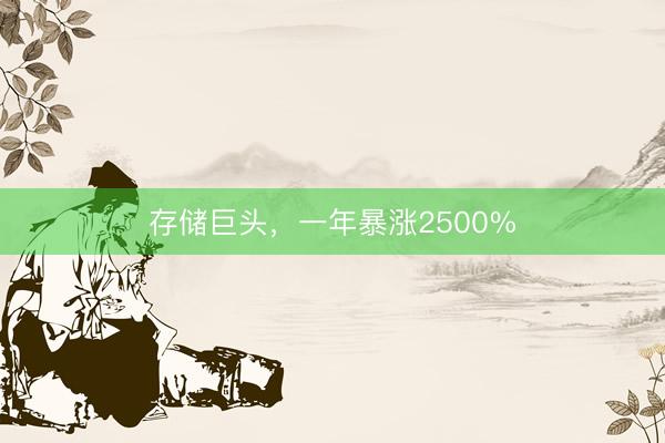 存储巨头，一年暴涨2500%