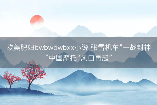欧美肥妇bwbwbwbxx小说 张雪机车“一战封神”中国摩托“风口再起”