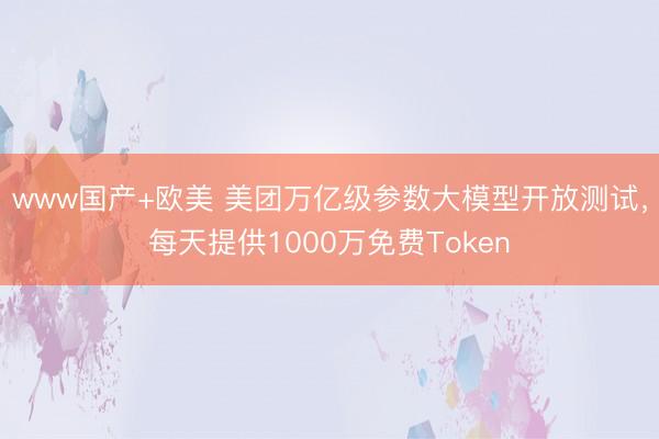 www国产+欧美 美团万亿级参数大模型开放测试，每天提供1000万免费Token
