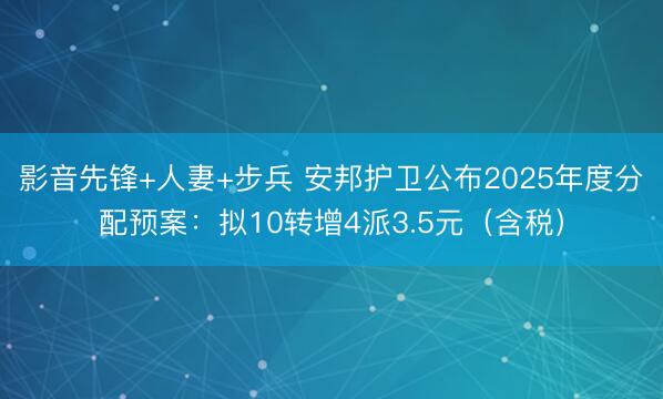 影音先锋+人妻+步兵 安邦护卫公布2025年度分配预案：拟10转增4派3.5元（含税）