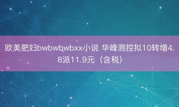 欧美肥妇bwbwbwbxx小说 华峰测控拟10转增4.8派11.9元（含税）
