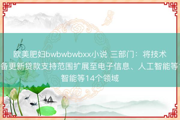 欧美肥妇bwbwbwbxx小说 三部门：将技术改造和设备更新贷款支持范围扩展至电子信息、人工智能等14个领域