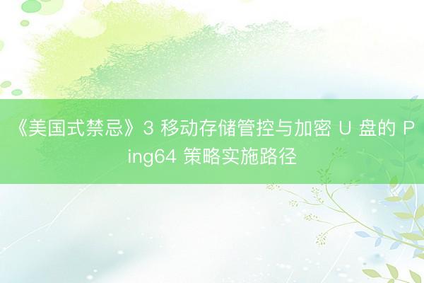 《美国式禁忌》3 移动存储管控与加密 U 盘的 Ping64 策略实施路径