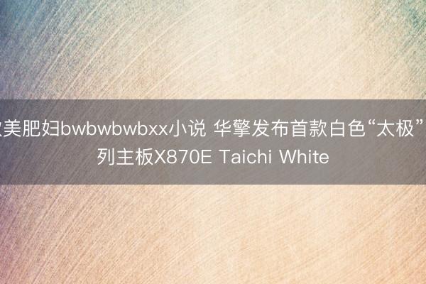 欧美肥妇bwbwbwbxx小说 华擎发布首款白色“太极”系列主板X870E Taichi White