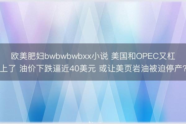 欧美肥妇bwbwbwbxx小说 美国和OPEC又杠上了 油价下跌逼近40美元 或让美页岩油被迫停产？