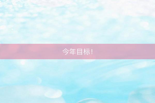 今年目标！