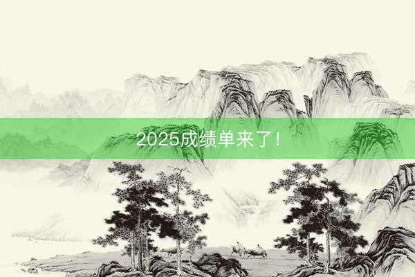 2025成绩单来了！