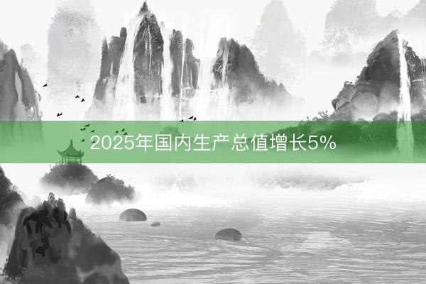 2025年国内生产总值增长5%