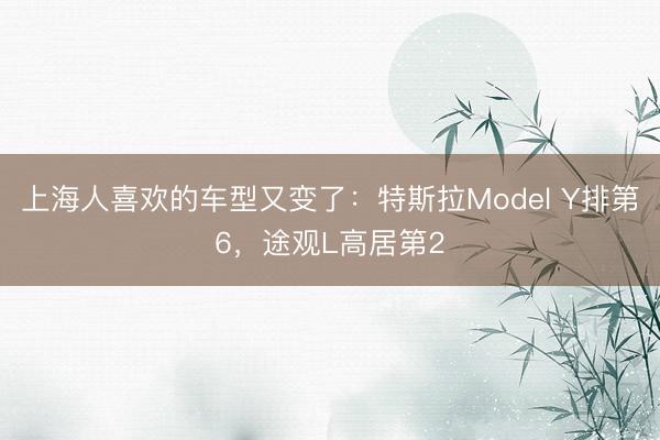 上海人喜欢的车型又变了：特斯拉Model Y排第6，途观L高居第2