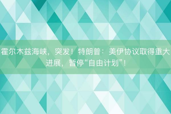 霍尔木兹海峡，突发！特朗普：美伊协议取得重大进展，暂停“自由计划”！