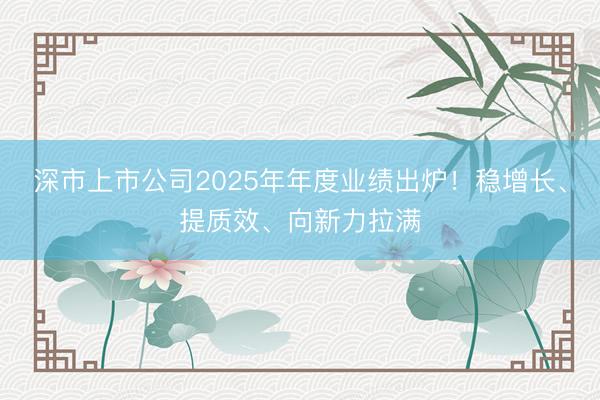 深市上市公司2025年年度业绩出炉！稳增长、提质效、向新力拉满