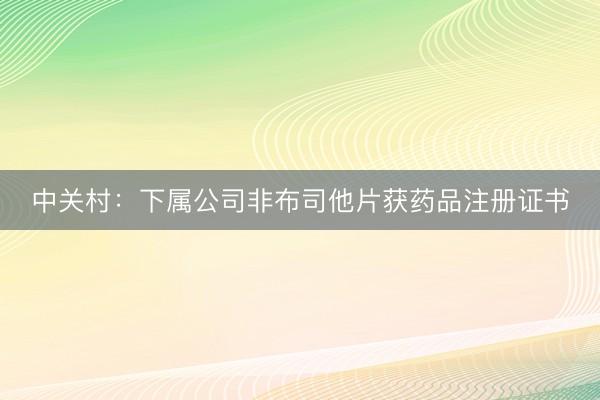 中关村：下属公司非布司他片获药品注册证书
