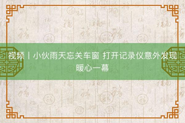 视频丨小伙雨天忘关车窗 打开记录仪意外发现暖心一幕