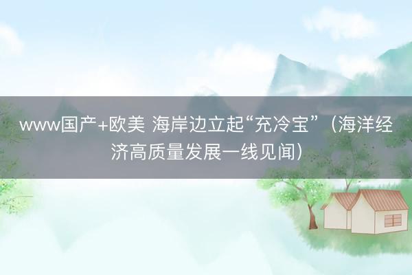 www国产+欧美 海岸边立起“充冷宝”（海洋经济高质量发展一线见闻）
