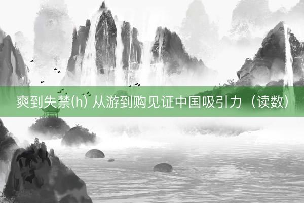 爽到失禁(h) 从游到购见证中国吸引力（读数）