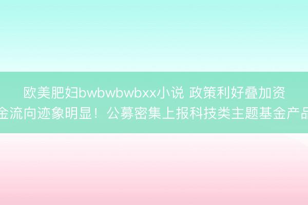 欧美肥妇bwbwbwbxx小说 政策利好叠加资金流向迹象明显！公募密集上报科技类主题基金产品