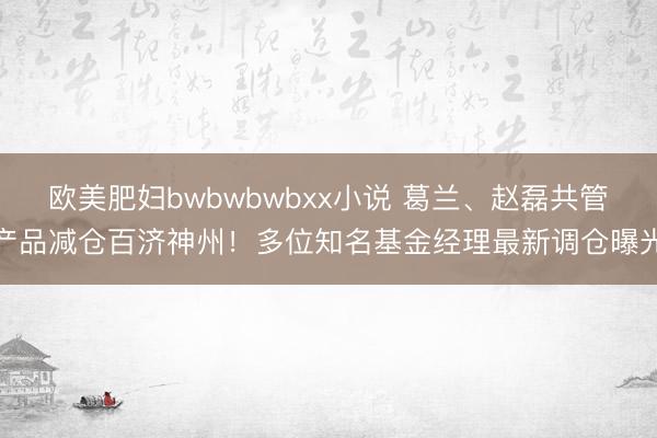 欧美肥妇bwbwbwbxx小说 葛兰、赵磊共管产品减仓百济神州！多位知名基金经理最新调仓曝光