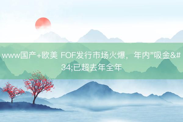 www国产+欧美 FOF发行市场火爆，年内"吸金"已超去年全年