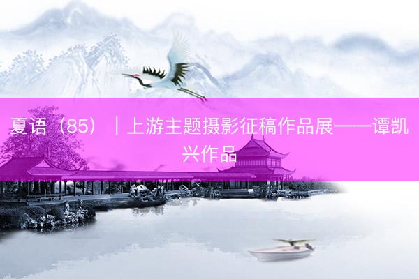 夏语（85）｜上游主题摄影征稿作品展——谭凯兴作品