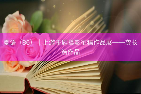 夏语（86）｜上游主题摄影征稿作品展——龚长浩作品