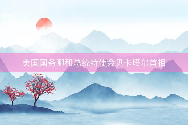 美国国务卿和总统特使会见卡塔尔首相