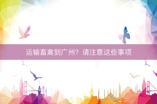 运输畜禽到广州？请注意这些事项