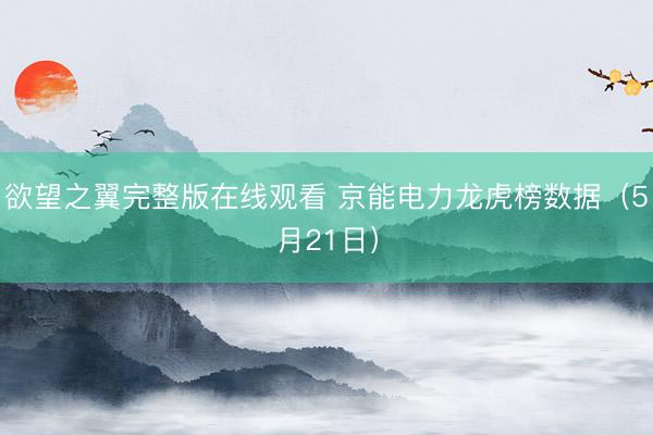 欲望之翼完整版在线观看 京能电力龙虎榜数据（5月21日）