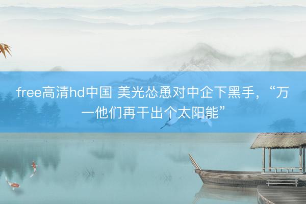 free高清hd中国 美光怂恿对中企下黑手，“万一他们再干出个太阳能”