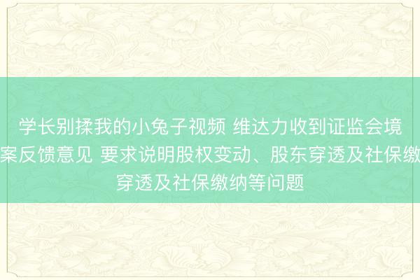 学长别揉我的小兔子视频 维达力收到证监会境外上市备案反馈意见 要求说明股权变动、股东穿透及社保缴纳等问题