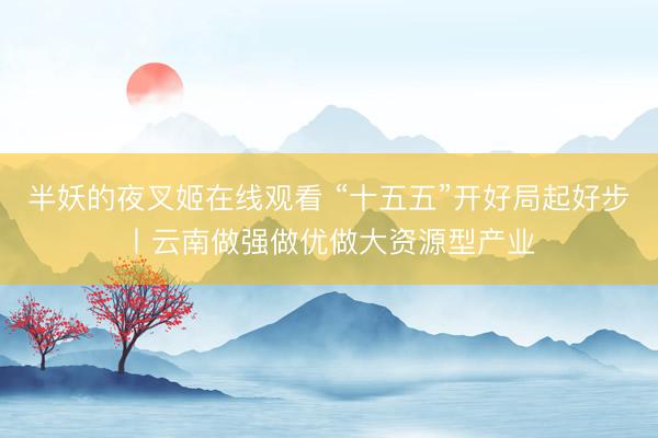 半妖的夜叉姬在线观看 “十五五”开好局起好步丨云南做强做优做大资源型产业