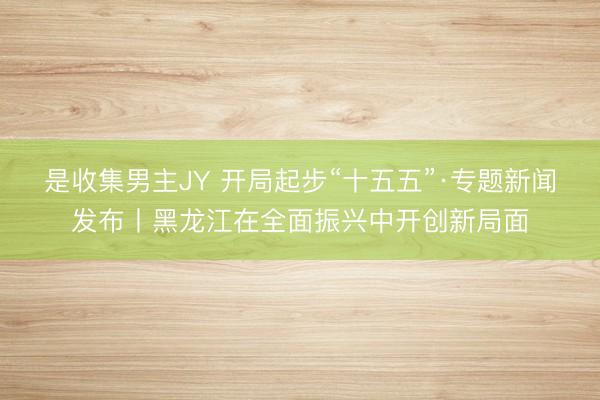 是收集男主JY 开局起步“十五五”·专题新闻发布丨黑龙江在全面振兴中开创新局面