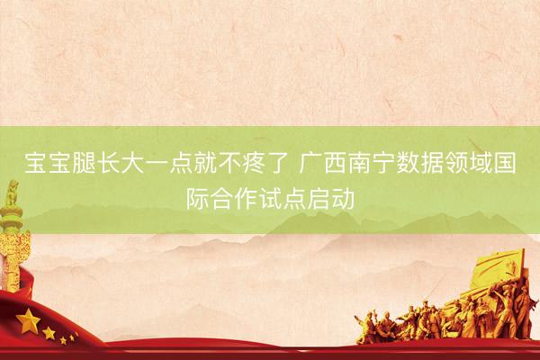 宝宝腿长大一点就不疼了 广西南宁数据领域国际合作试点启动