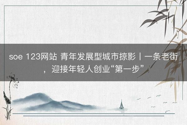 soe 123网站 青年发展型城市掠影丨一条老街，迎接年轻人创业“第一步”