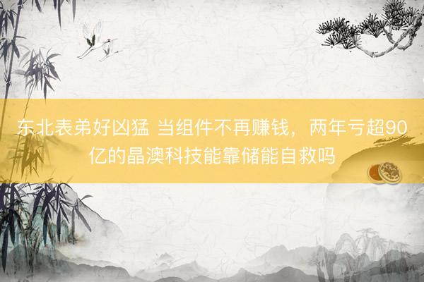东北表弟好凶猛 当组件不再赚钱，两年亏超90亿的晶澳科技能靠储能自救吗