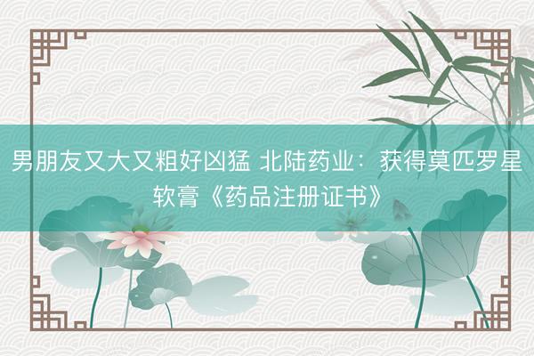 男朋友又大又粗好凶猛 北陆药业：获得莫匹罗星软膏《药品注册证书》