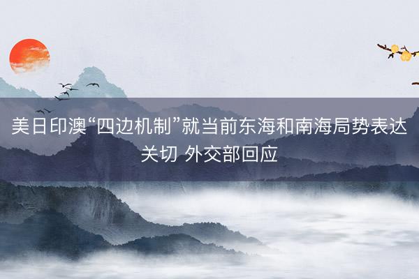 美日印澳“四边机制”就当前东海和南海局势表达关切 外交部回应