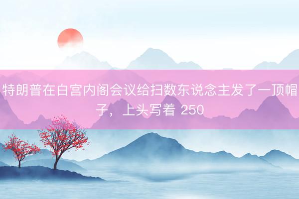 特朗普在白宫内阁会议给扫数东说念主发了一顶帽子，上头写着 250