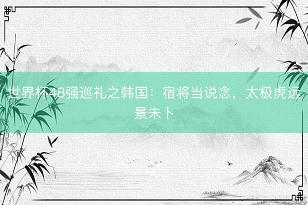 世界杯48强巡礼之韩国：宿将当说念，太极虎远景未卜
