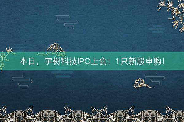 本日，宇树科技IPO上会！1只新股申购！
