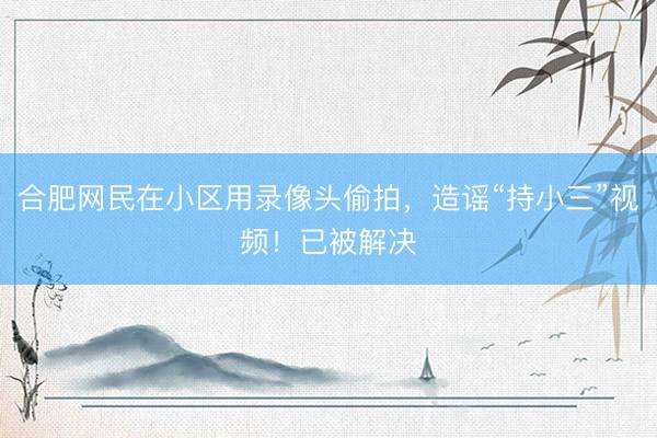合肥网民在小区用录像头偷拍，造谣“持小三”视频！已被解决