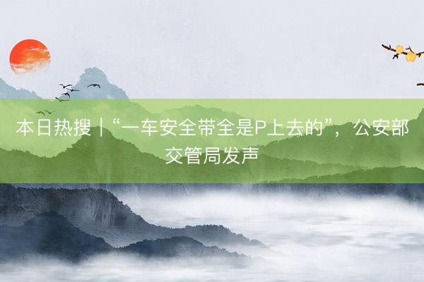 本日热搜｜“一车安全带全是P上去的”，公安部交管局发声