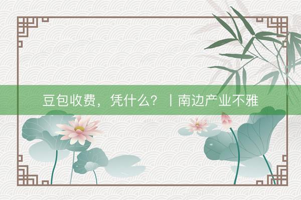 豆包收费，凭什么？丨南边产业不雅