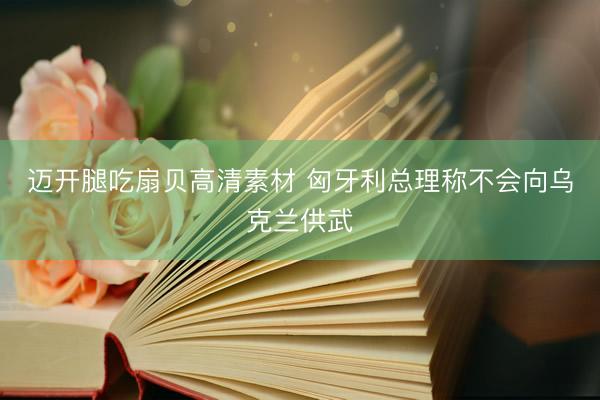 迈开腿吃扇贝高清素材 匈牙利总理称不会向乌克兰供武