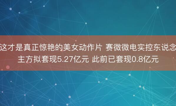 这才是真正惊艳的美女动作片 赛微微电实控东说念主方拟套现5.27亿元 此前已套现0.8亿元