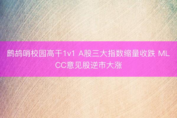 鹧鸪哨校园高干1v1 A股三大指数缩量收跌 MLCC意见股逆市大涨