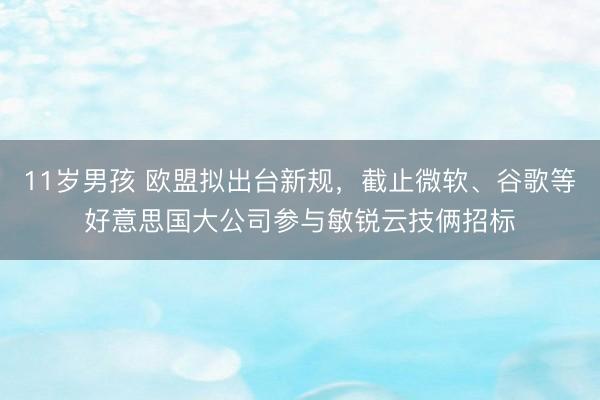 11岁男孩 欧盟拟出台新规，截止微软、谷歌等好意思国大公司参与敏锐云技俩招标