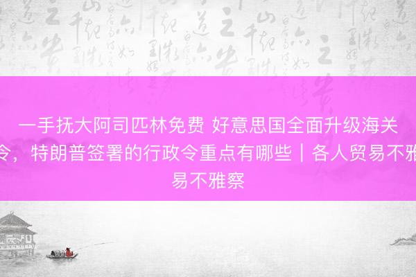 一手抚大阿司匹林免费 好意思国全面升级海关功令，特朗普签署的行政令重点有哪些｜各人贸易不雅察