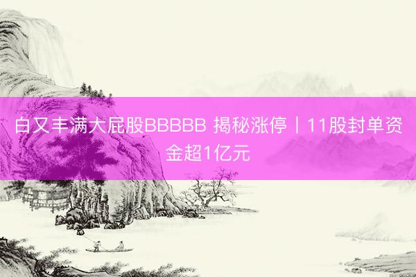 白又丰满大屁股BBBBB 揭秘涨停丨11股封单资金超1亿元