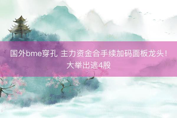 国外bme穿孔 主力资金合手续加码面板龙头！大举出逃4股