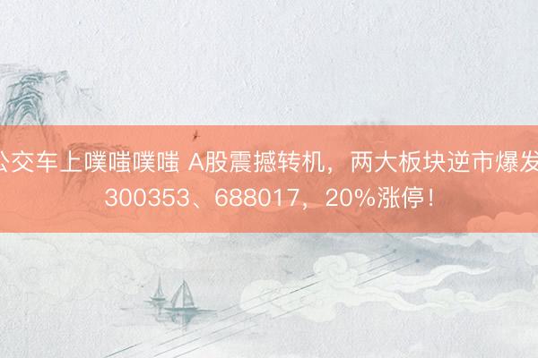 公交车上噗嗤噗嗤 A股震撼转机,两大板块逆市爆发!300353、688017,20%涨停!